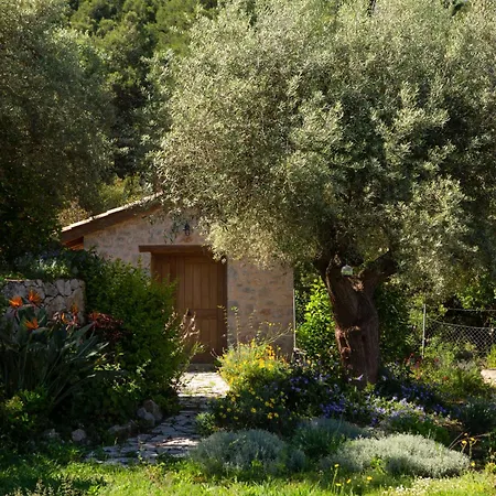 Mirtes With Breathtaking Sea View,close To Porto Katsiki And Egremni * Pondi
